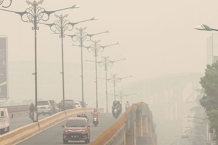 Asap Karhutla Belum Mereda, Penderita ISPA Bertambah di Pekanbaru dan Palembang